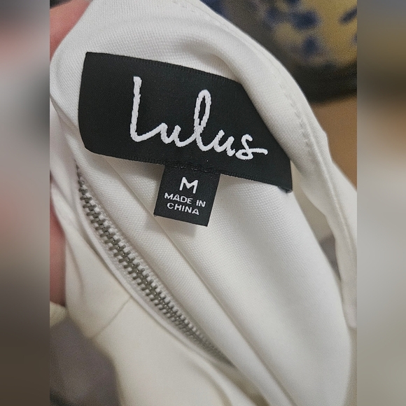 LULU'S Dance a Little Lace White Embroidered Short Sleeve Shift Dress. M NWT - Picture 6 of 16